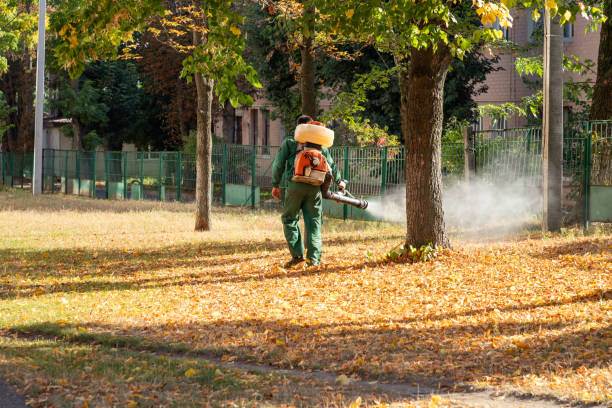 Wildlife Control Services in Arthurdale, WV